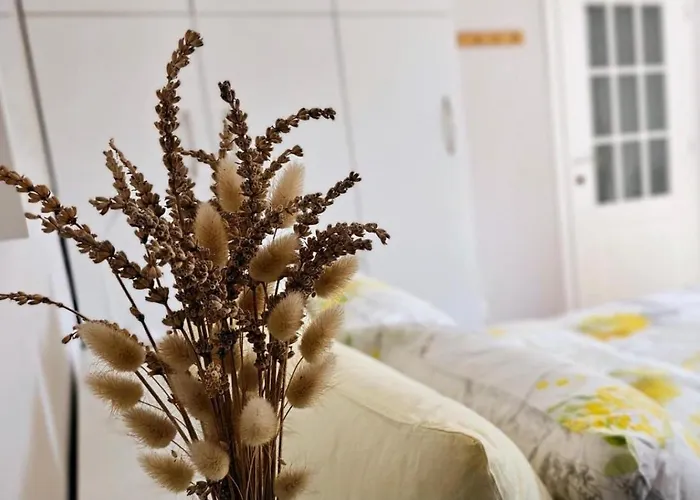 Nuci's Place - The Signature Collection * Tirana