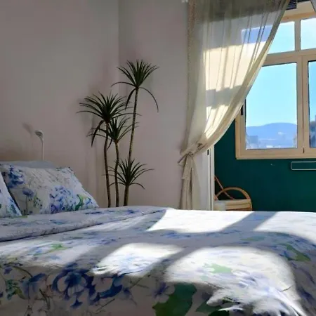 Daire Nuci's Place - The Signature Collection Tiran