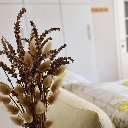 Nuci's Place - The Signature Collection * تيرانا