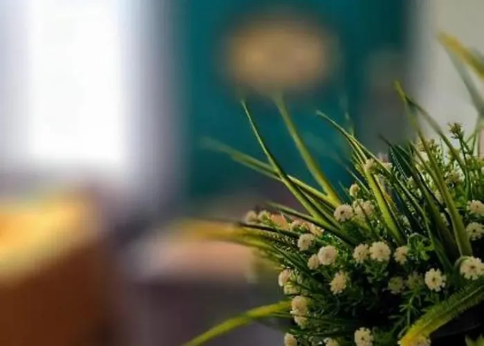 Nuci's Place - The Signature Collection * ティラナ